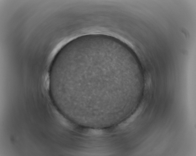 X0000114111509200910191652