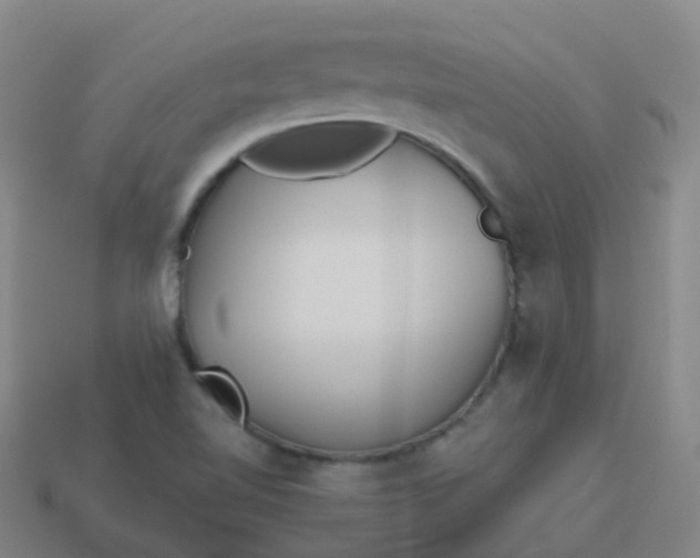 X0000114111510200910191652