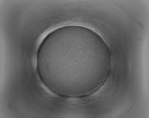 X0000114111511200910191652