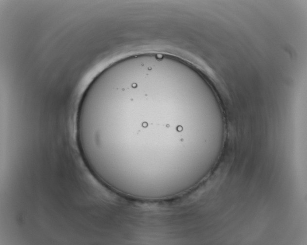 X0000114111512200910191652