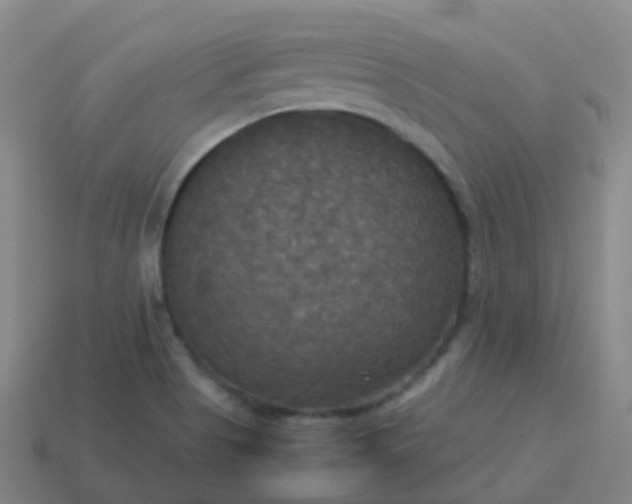 X0000114111513200910191652