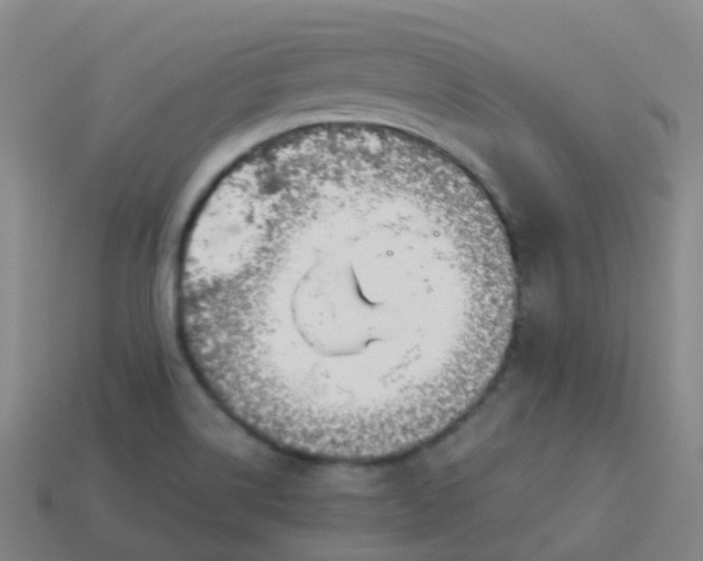 X0000114111514200910191652