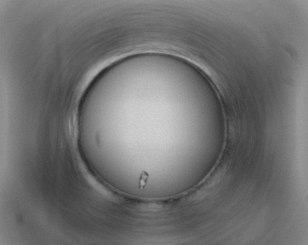 X0000114111515200910191652