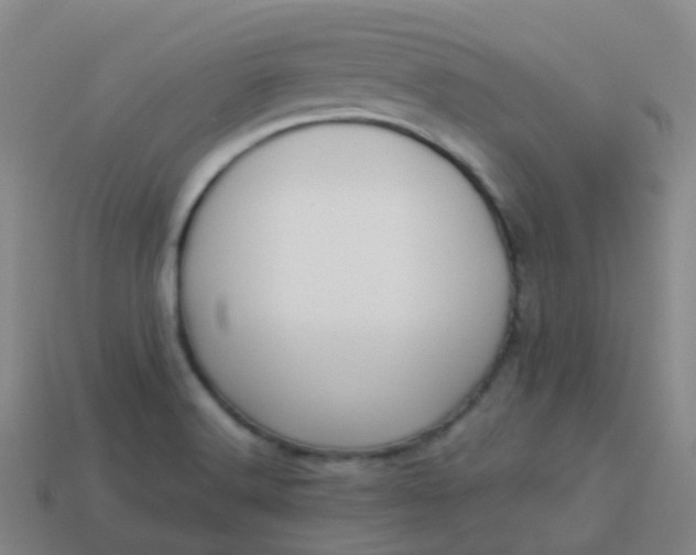 X0000114111516200910191652