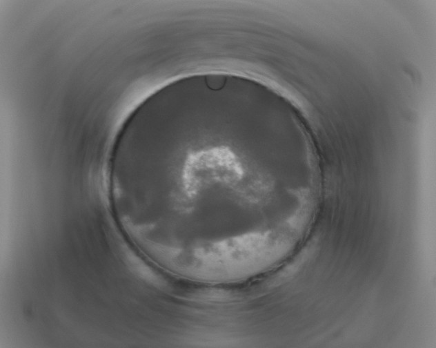 X0000114111517200910191652