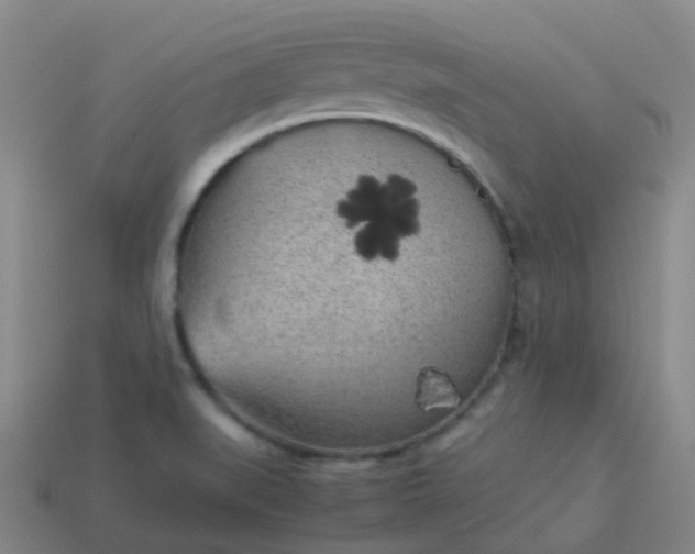 X0000114111519200910191652