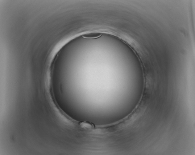 X0000114111520200910191652