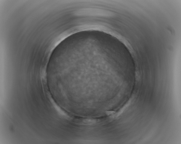 X0000114111521200910191652