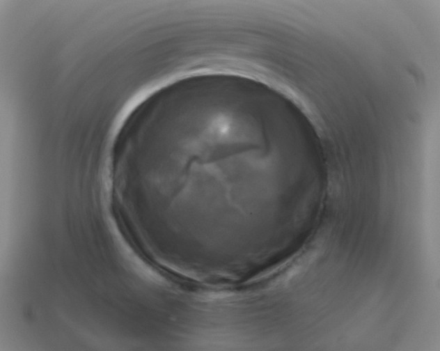 X0000114111522200910191652