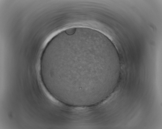 X0000114111523200910191652