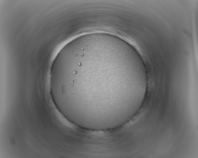 X0000114111524200910191652