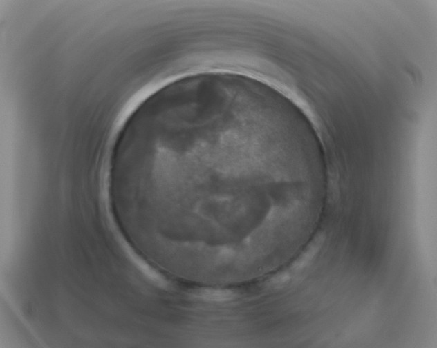 X0000114111525200910191652