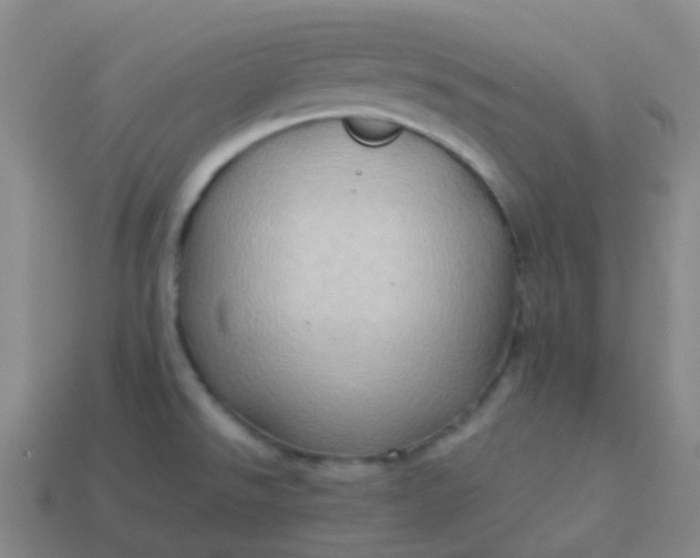 X0000114111526200910191652