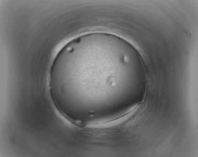 X0000114111527200910191652