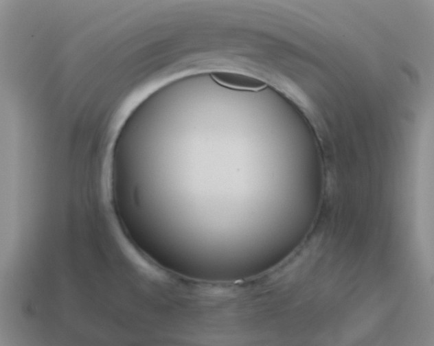 X0000114111528200910191652