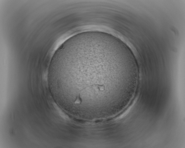 X0000114111529200910191652