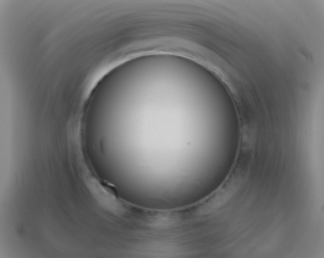 X0000114111530200910191652