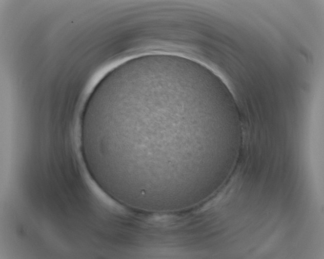 X0000114111531200910191652