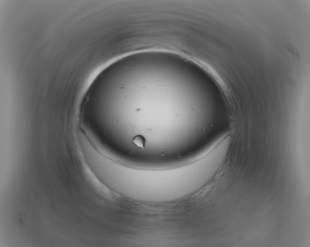 X0000114111532200910191652