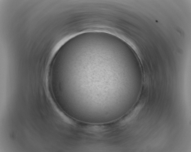 X0000114111533200910191652