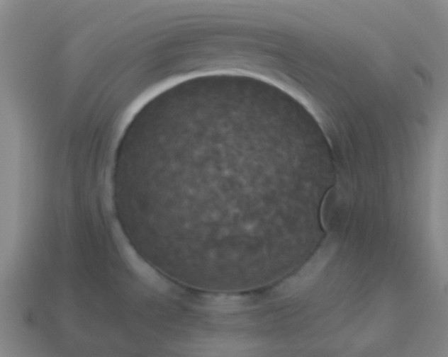 X0000114111534200910191652