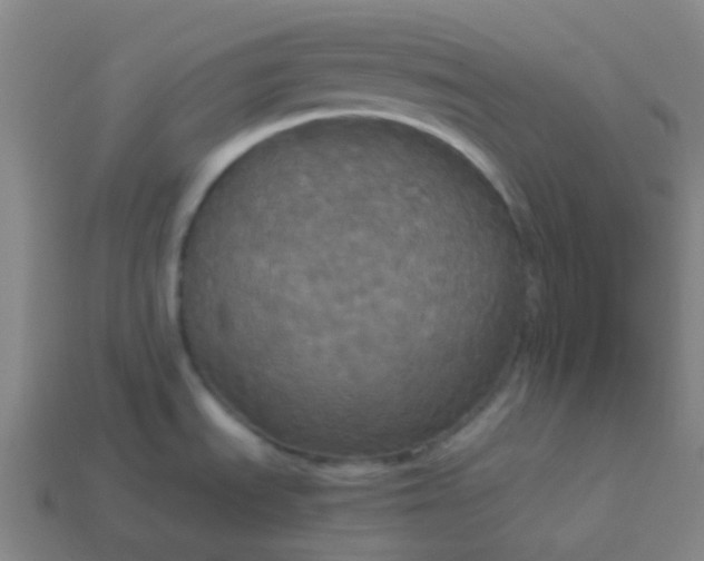 X0000114111535200910191652