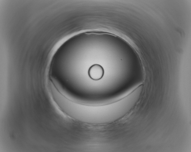 X0000114111536200910191652