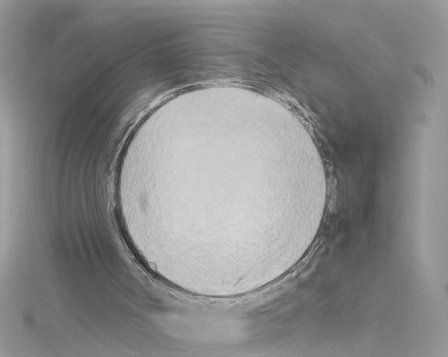 X0000114110002200911161128