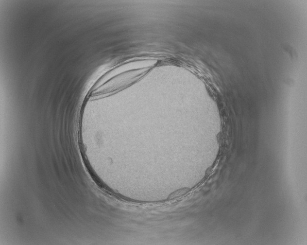 X0000114110003200911161128