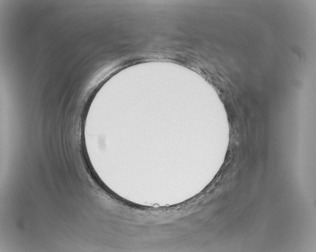 X0000114110005200911161128