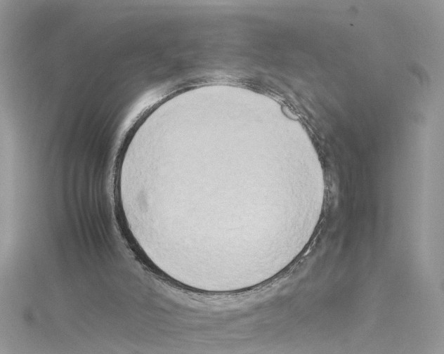 X0000114110006200911161128