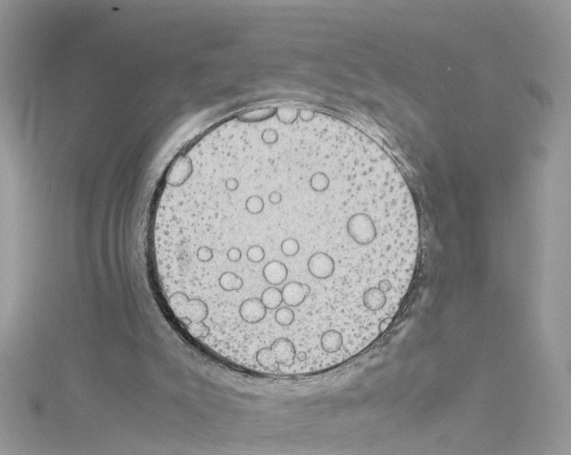 X0000114110007200911161128