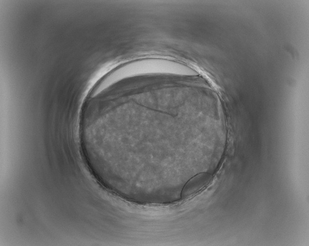 X0000114110008200911161128