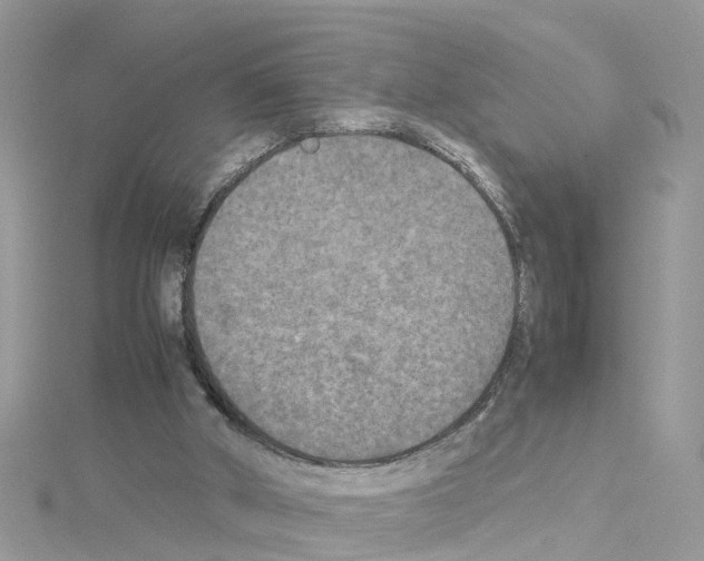 X0000114110010200911161128