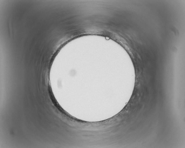 X0000114110011200911161128