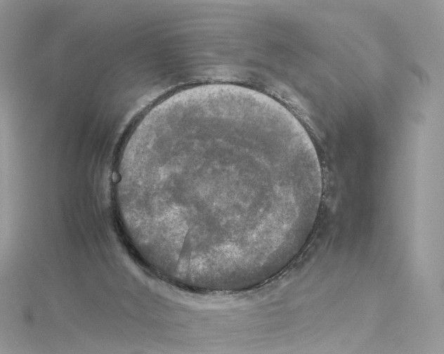 X0000114110012200911161128