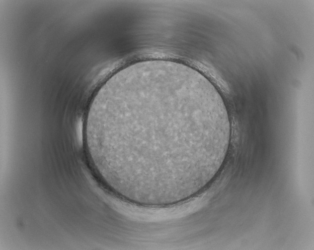 X0000114110014200911161128