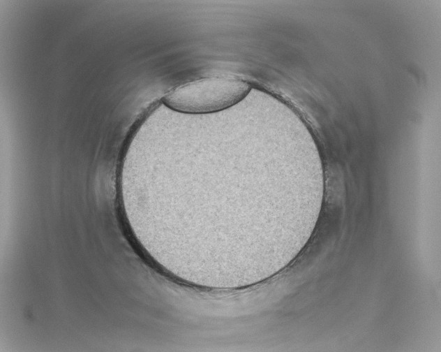 X0000114110015200911161128