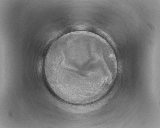 X0000114110018200911161128