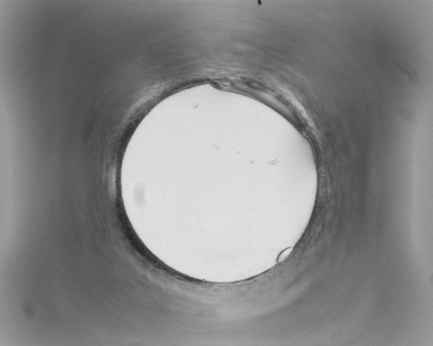 X0000114110019200911161128