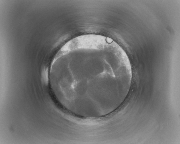 X0000114110020200911161128