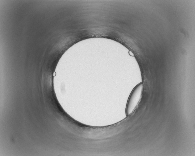 X0000114110021200911161128