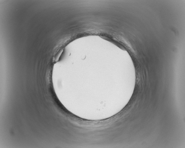 X0000114110023200911161128