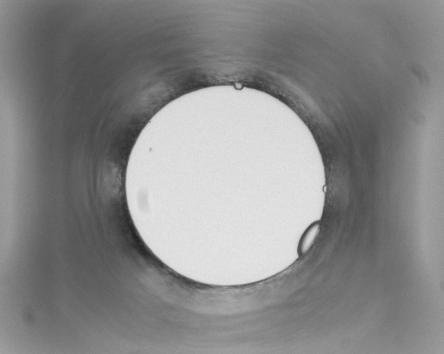 X0000114110025200911161128