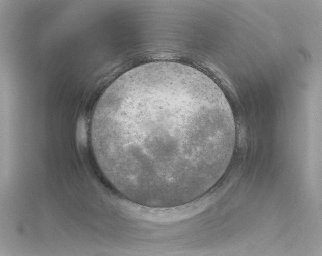 X0000114110026200911161128