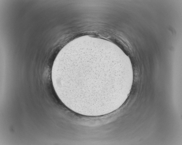 X0000114110029200911161128