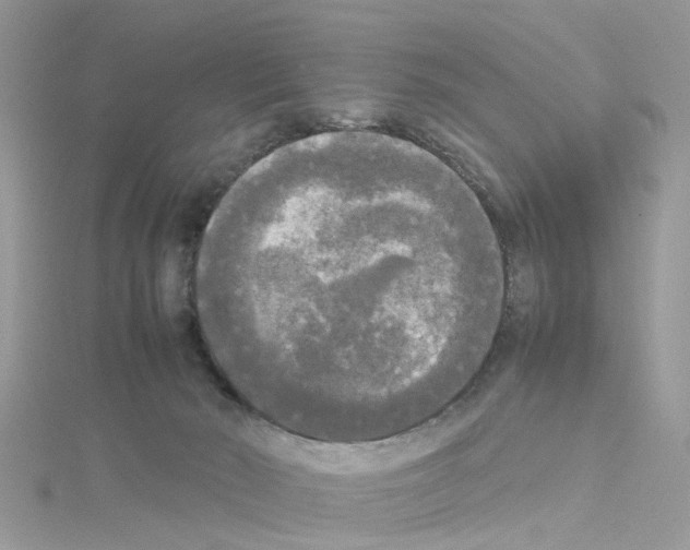 X0000114110030200911161128