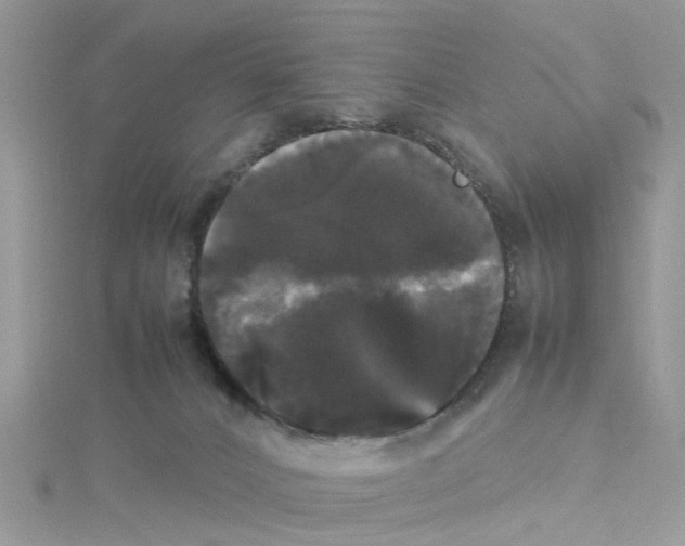 X0000114110032200911161127