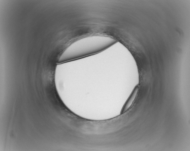 X0000114110033200911161127