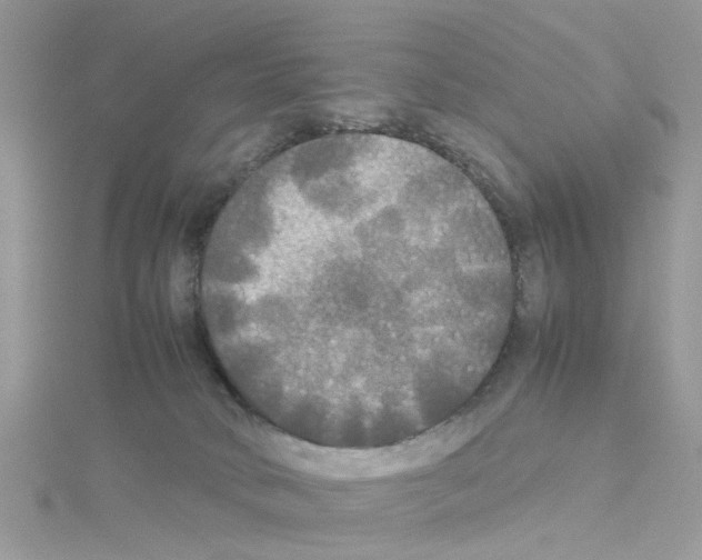 X0000114110034200911161127